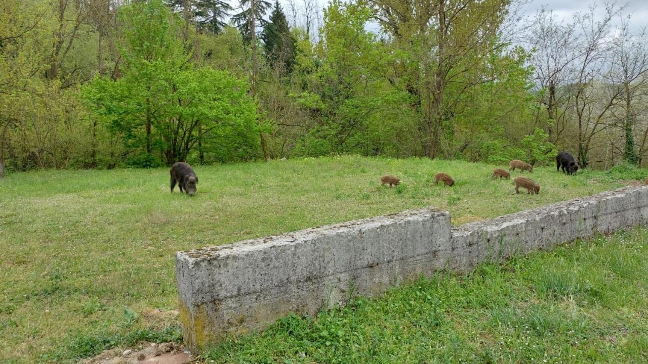 B&B Villa S Anna Hospitality Solutions Arquata Scrivia Dış mekan fotoğraf